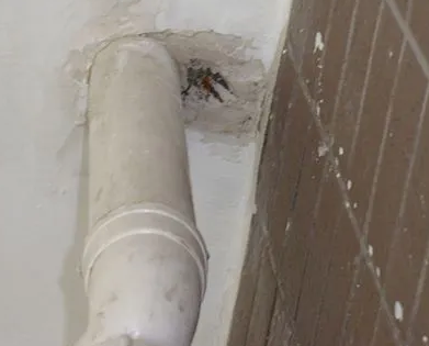 格尔木漏水检测哪家好